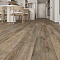 EvoFloor Home (Rus) Oak Ashen (миниатюра фото 13)