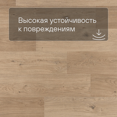 QS Second choice Alpha BLOS  SPE40321 - AVSPU 40321 Дуб береговой бежевый (фото 5)