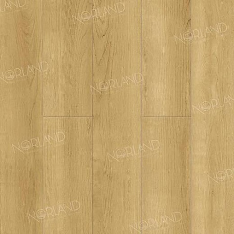 Norland Elegant 8 4V 33 (CH) LF301-06 Дуб Лузон (фото 1)