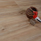 SPC Ламинат Evofloor Optima Click Pear Cappucino (миниатюра фото 3)