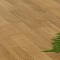 Polarwood Classic Дуб ЛЕСНОЙ, сорт. Натур, золотистый лак, 3-полосный (миниатюра фото 3)