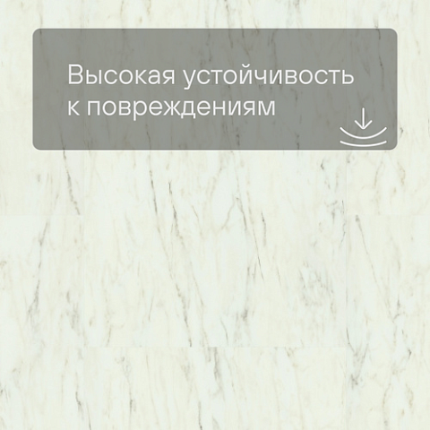 QS Vinyl Flex BLUSH плитка SGTC 20305 Мрамор белый лунный (фото 5)