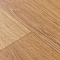 Premium Falco 2_1159 (миниатюра фото 15)