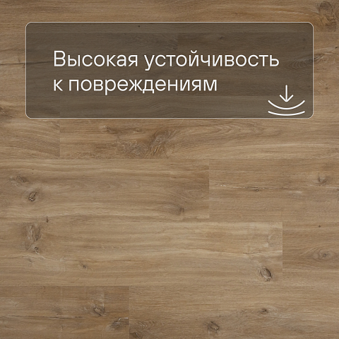 QS Second choice Alpha BLOS BASE  SPE40039 - AVSPT 40039 Дуб каньон натуральный (фото 5)
